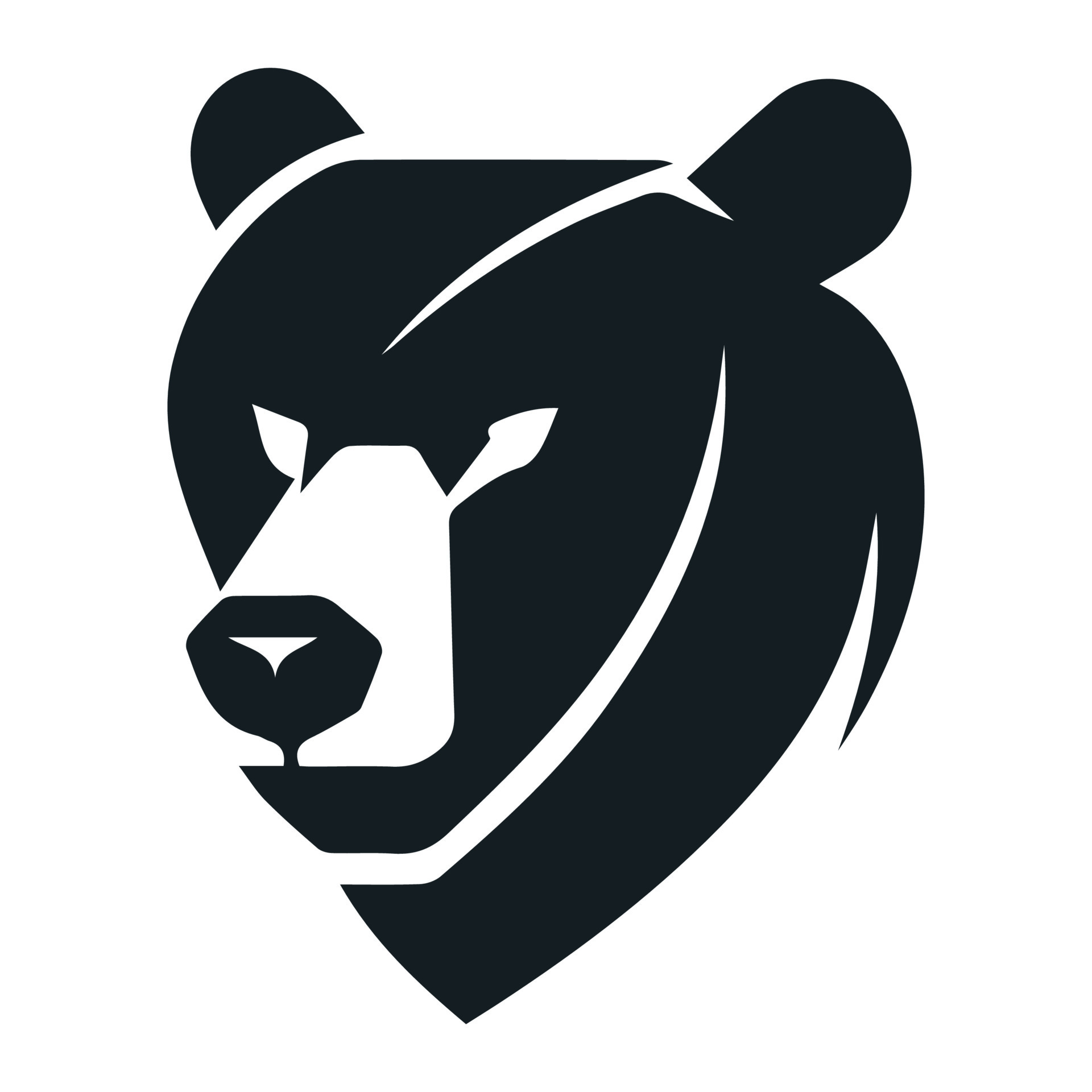 Bears Logo