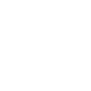Hawks Logo